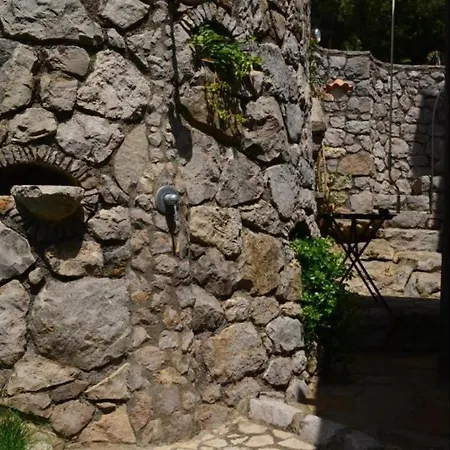 Lauritano
