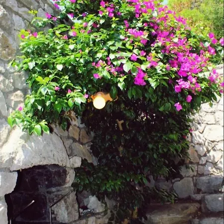 Lauritano Holiday home Massa Lubrense