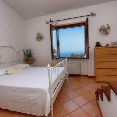 Lauritano